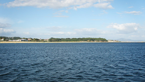Rib1